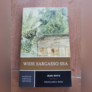 Wide Sargasso Sea Novel